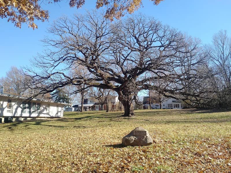 Searles Oak - Image 2