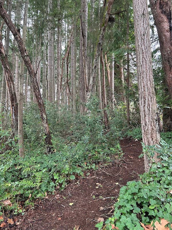 Soundview Forest Park - Image 1