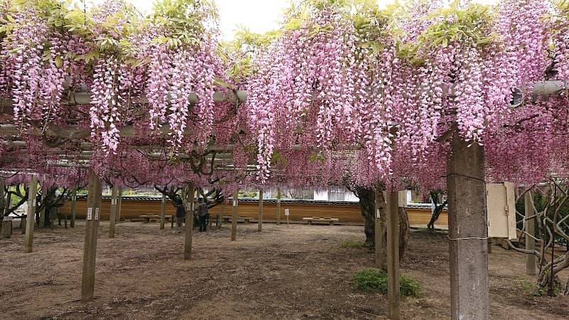 Jokoji Temple - Image 1