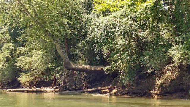 Abbotts Bridge Recreation Area - Image 1
