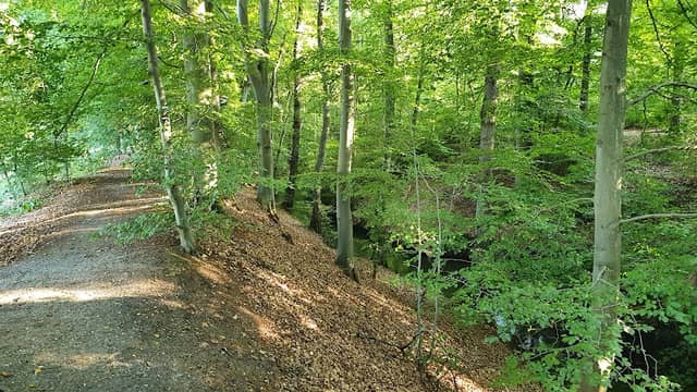 Heidberg - Image 1