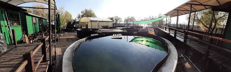 Sea Turtle Rescue Centre - Image 2