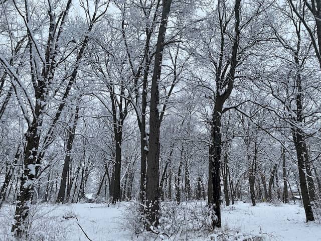 Bassett Park - Image 1