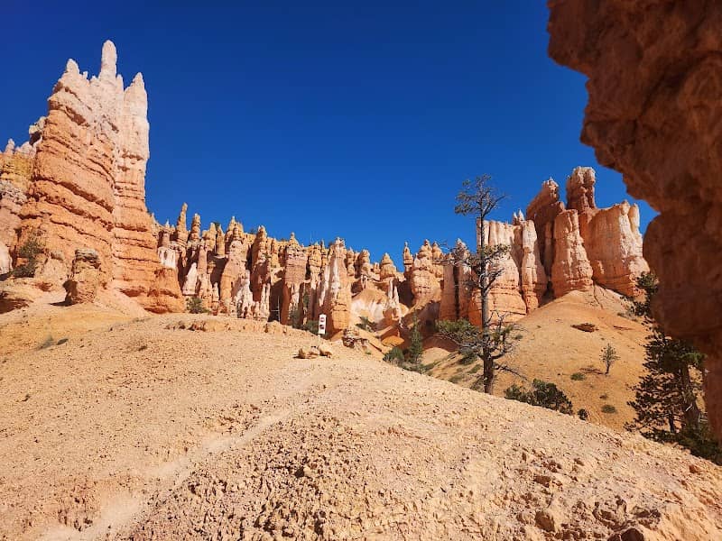 Bryce Canyon National Park - Image 2