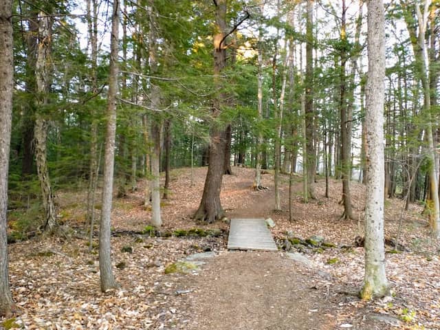 Bonney Woods Memorial - Image 2