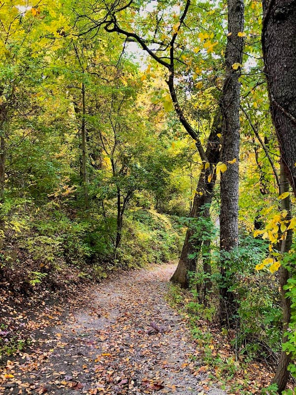 Fred Fuller Park - Image 2