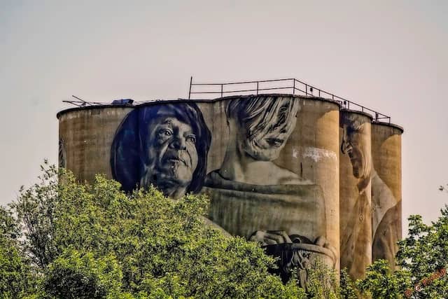 Guido van Helten Silo Mural - Image 3