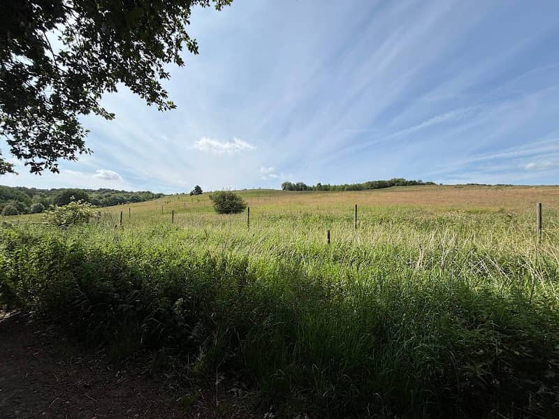 Bestwood Country Park - Image 1