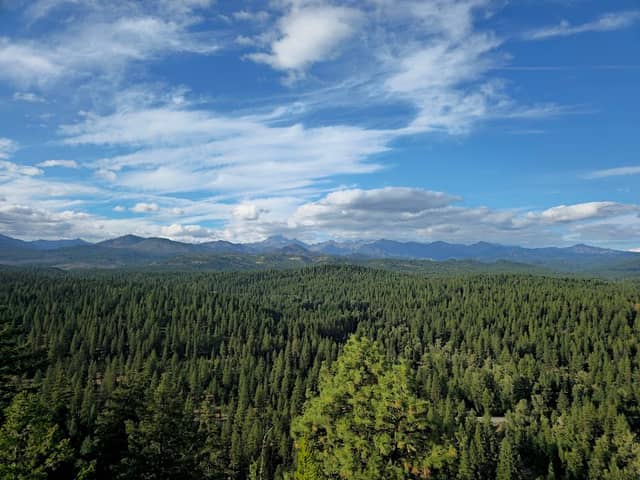 Teanaway Community Forest - Image 1