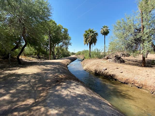 LoPiano Bosque Habitat - Image 1