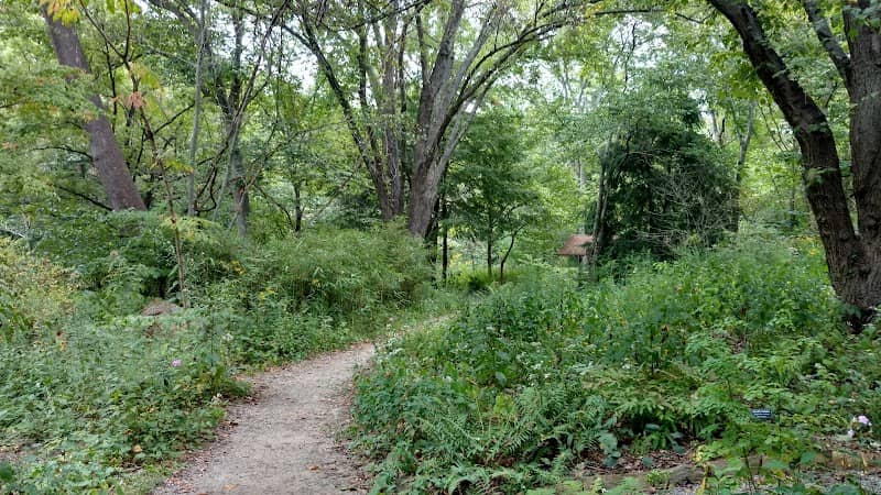 Asheville Botanical Garden - Image 1