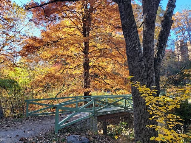 Asheville Botanical Garden - Image 2