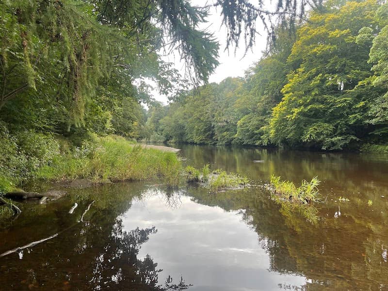 Pebble Beach gravel bank - Image 1