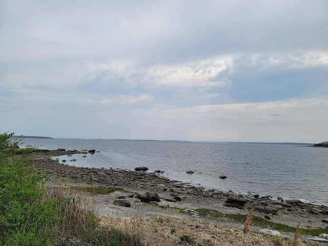 Claire D. McIntosh Wildlife Refuge - Image 2