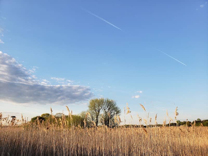 Claire D. McIntosh Wildlife Refuge - Image 2