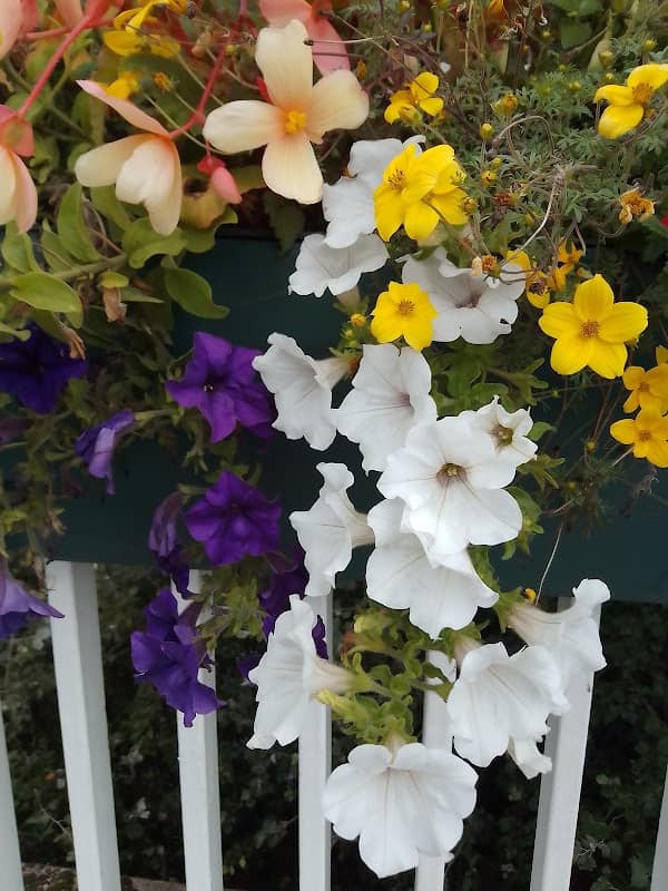 Amcott Way Flower Display - Image 1