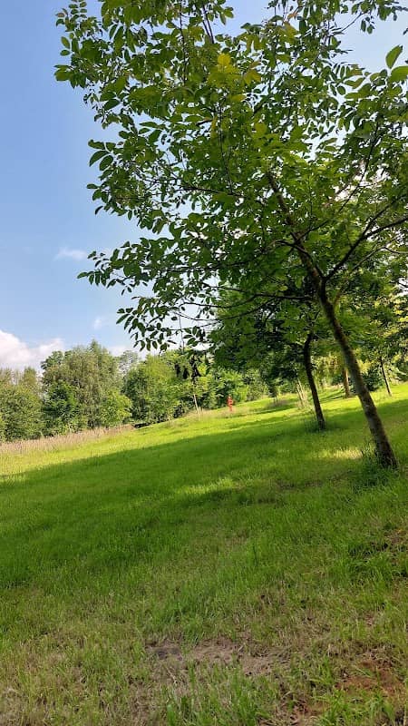 Levensloopbos Schurenberger Park - Image 1
