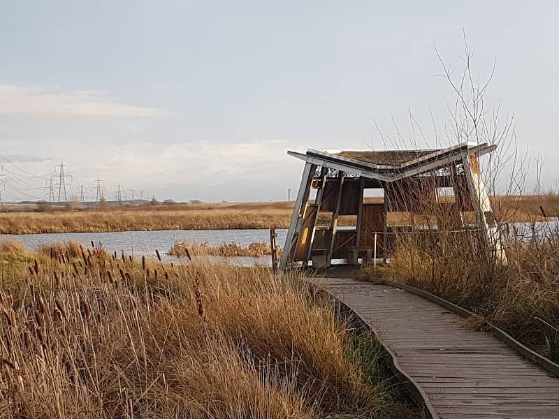 RSPB Black Devon Wetlands - Image 1