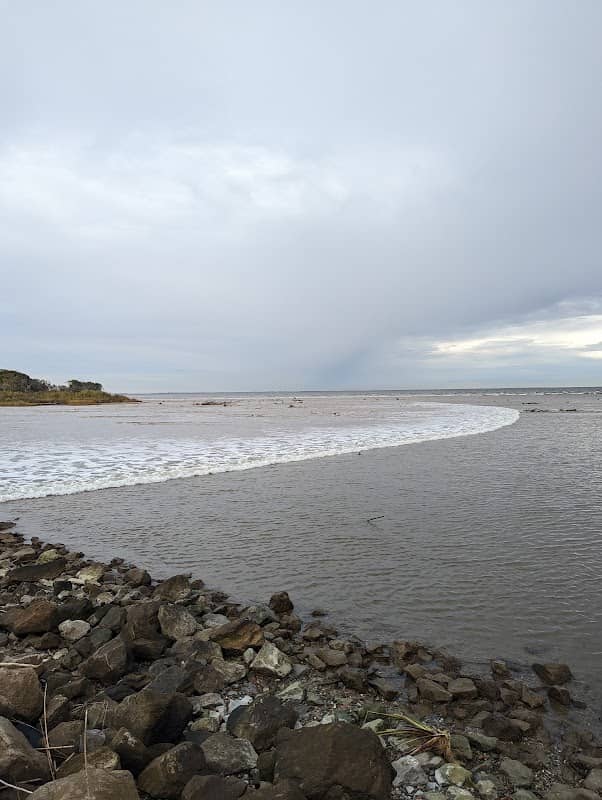Pleasure Island Levee - Image 1
