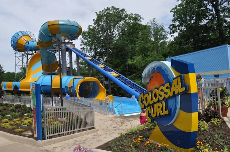 Colossal Curl - Image 1