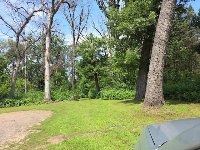 Goose Lake Park - Image 1