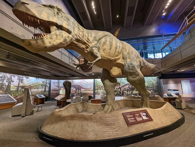 Museum of Science - Image 2