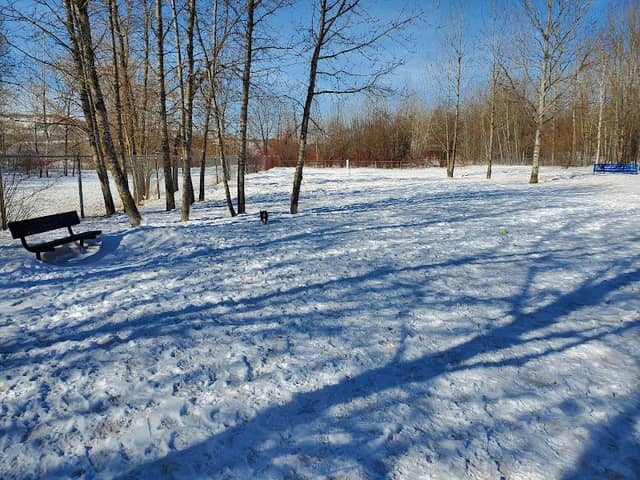Hibbing Dog Park - Image 2