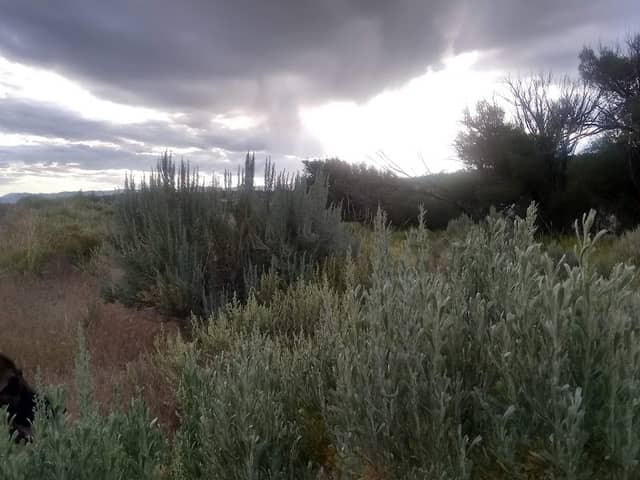 Bianche Park - Image 2