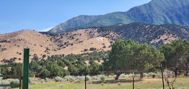 Juab "J" Hill - Image 1