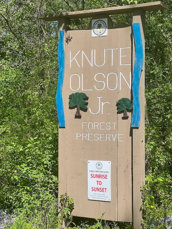 Knute Olson, Jr. Forest Preserve - Image 2