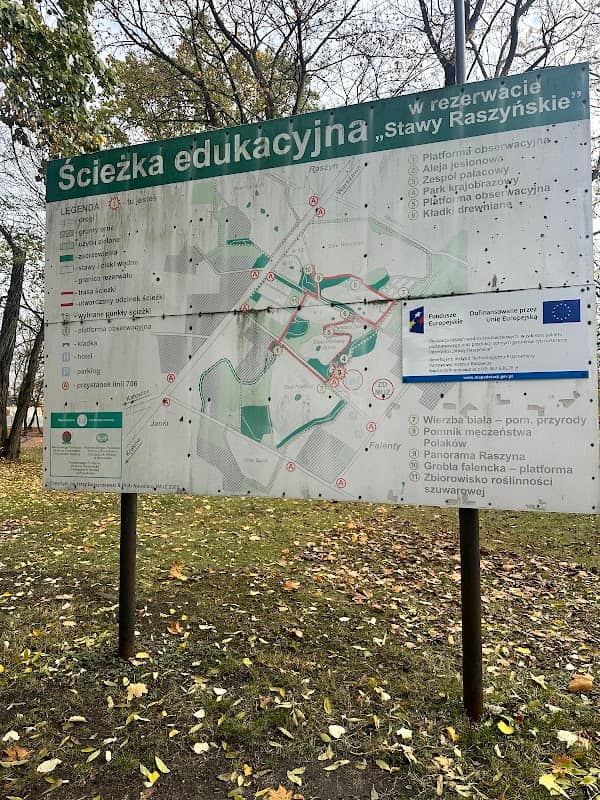 Ścieżka edukacyjna w rezerwacie „Stawy Raszyńskie” - Image 1