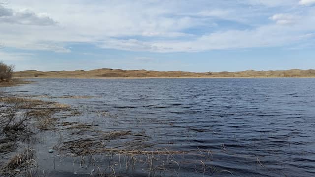 Shell Lake State Wildlife Management Area - Image 2