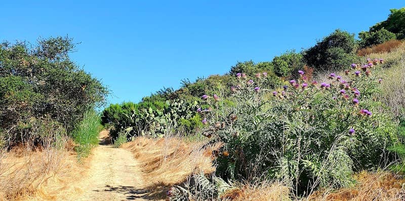 Carlsbad Oaks Preserve - Image 2