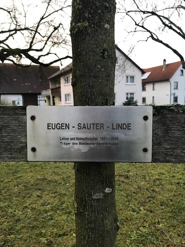 Eugen-Sauter-Linde - Image 1