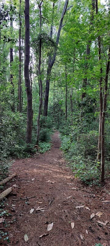 Bluethenthal Wildflower Preserve - Image 1