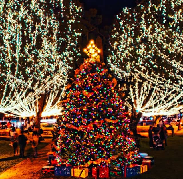 Nights of Lights - Image 1