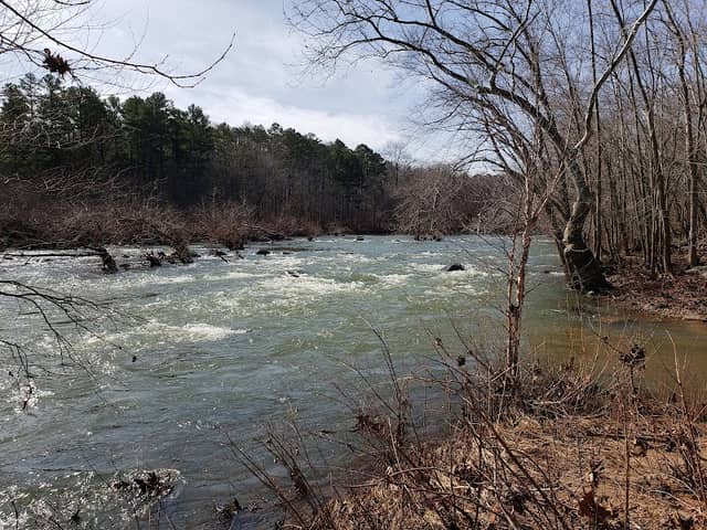 Millstream Gardens Conservation Area - Image 2