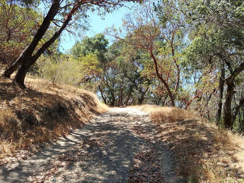Curlew Fire Road - Image 1