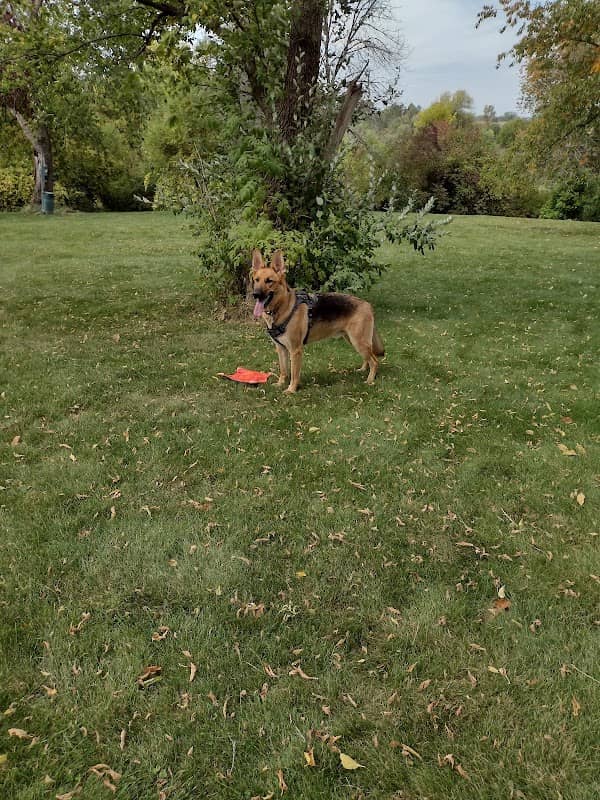 River Run Dog Park - Image 1