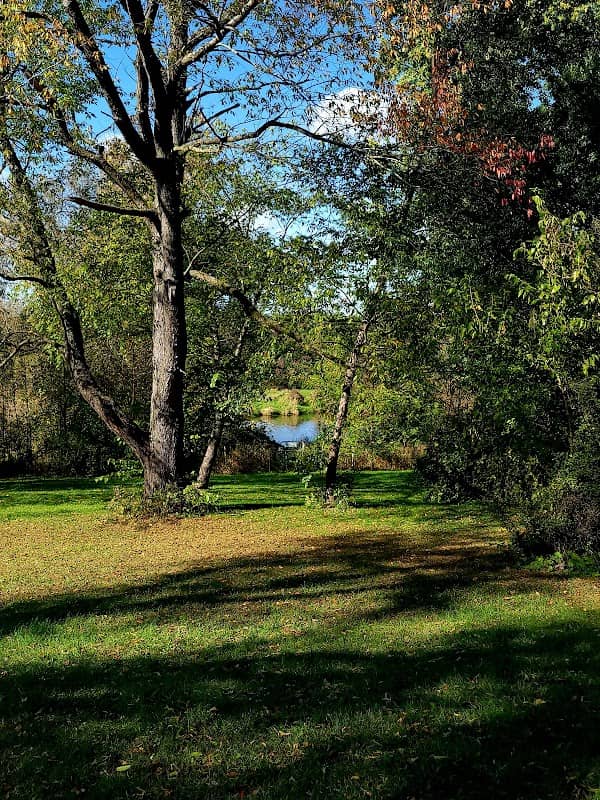 River Run Dog Park - Image 2