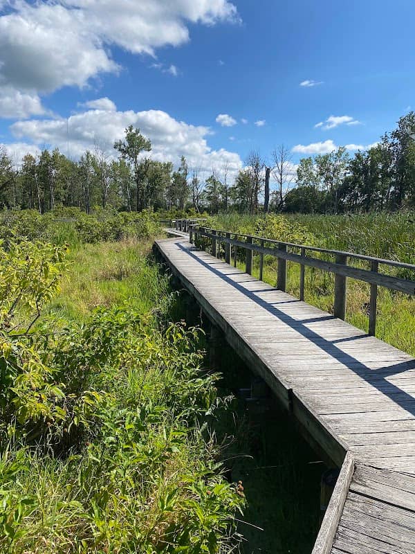 Maumee Bay State Park Nature Center - Image 1