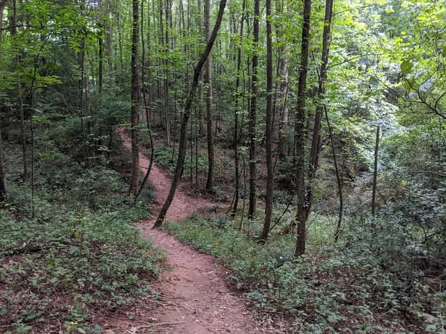 Blackberry Mountain Clear Creek Trail Head - Image 3