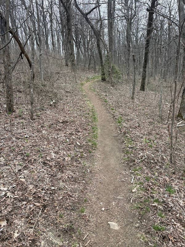 Appalachian Approach Trail - Image 3