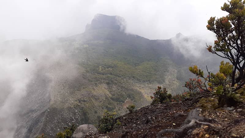 MT. Gede - Image 2