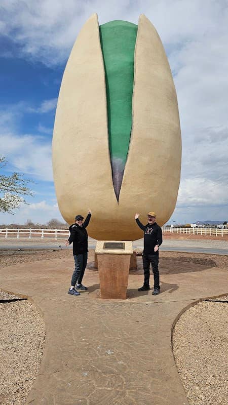 World's Largest Pistachio - Image 2