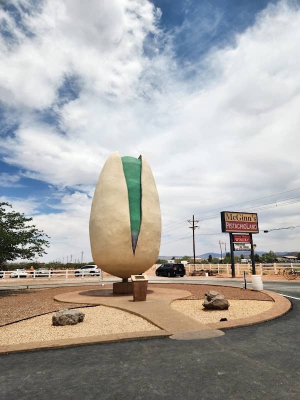 World's Largest Pistachio - Image 1