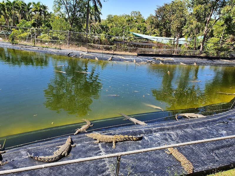 Crocodylus Park - Image 1