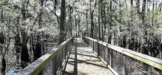 Andrews Wildlife Management Area - Image 2