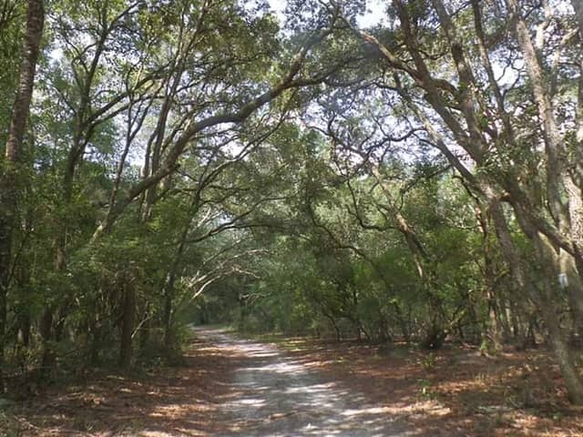 Andrews Wildlife Management Area - Image 3