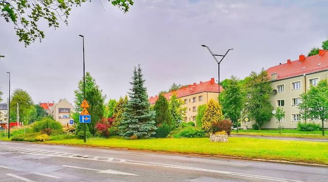 Zakątek zieleni - Image 1